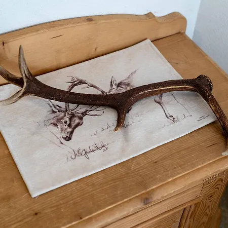 Apartman Chesa Erica 65m2 With Private Garden