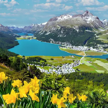 Chesa Erica 65m2 With Private Garden