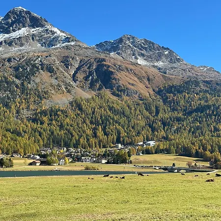 Chesa Erica 65m2 With Private Garden Apartman Silvaplana